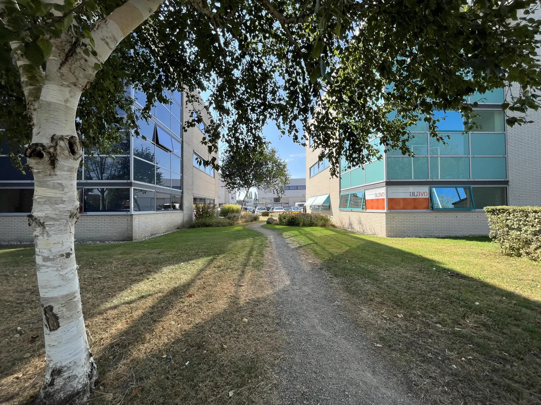 Zandpad tussen kantoorgebouwen in Leidse Rijn met bomen en gras aan beide zijden.
